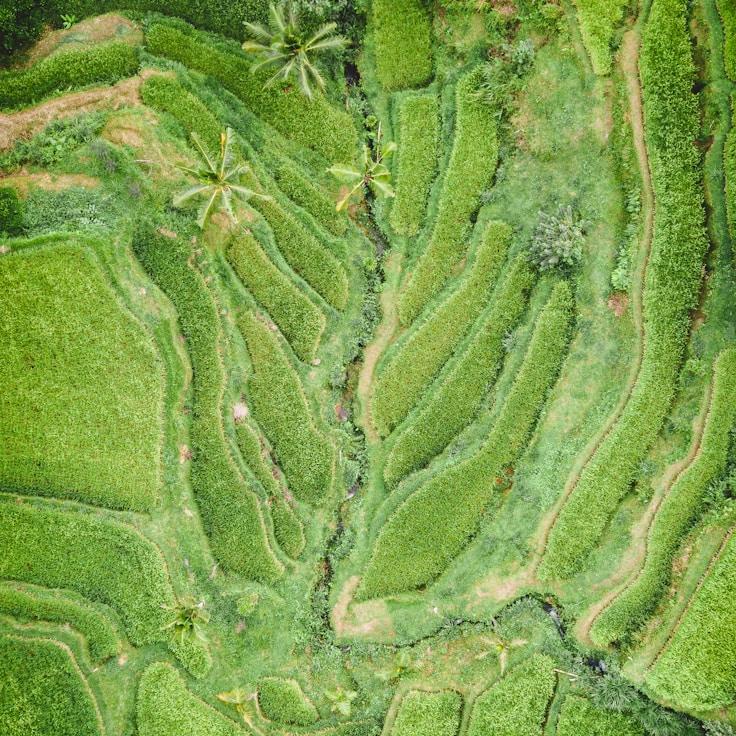 Outdoor terrace seating suitable for families in Florence
